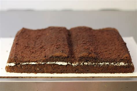 There are 94 open book cake for sale on etsy, and they cost 9,87 $ on average. Make me my Cake: Book Cake Tutorial