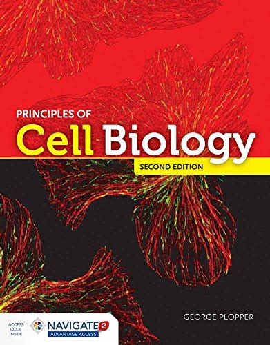 Principles Of Cell Biology Plopper George 9781284047608 Abebooks