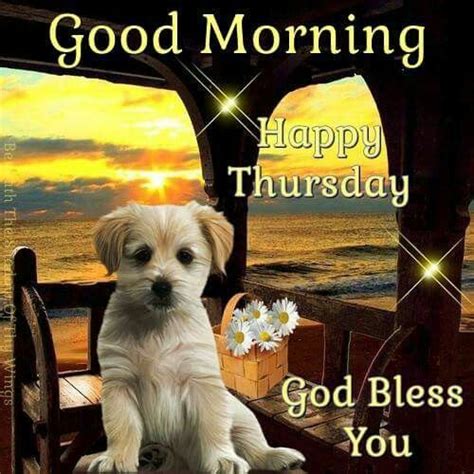 puppy dog good morning happy thursday pictures