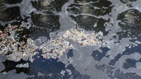 Sudbury Sewage Treatment Gets An Overhaul Cbc News