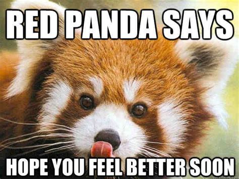 20 Laughable Memes To Make Anyone Feel Better About Life ... The images had each been used individually as memes themselves—and both so if—like we were—you're wondering how this all came about, we've broken it down for you, finding some of the internet's best examples, and even.