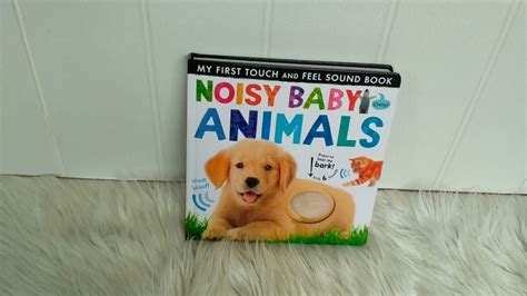 Noisy Baby Animals My First Touch And Feel Sound Board Book Youtube