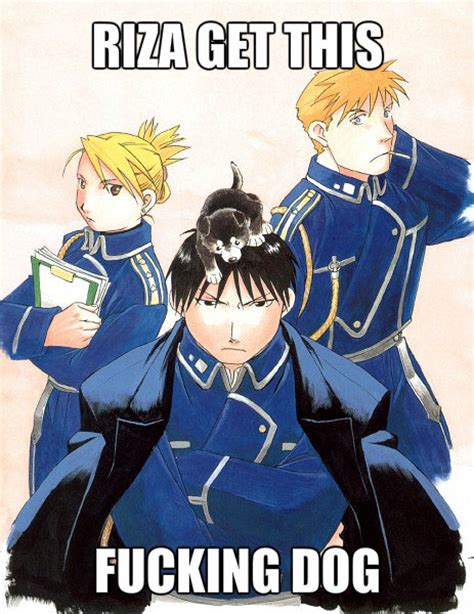 No matter how simple the math problem is, just seeing numbers and equations could send many people running for the hills. Dog - Roy Mustang Fan Art (35060932) - Fanpop