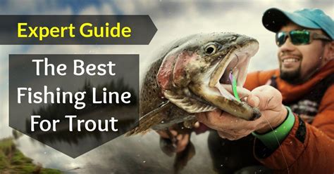It is light and depending on color and diameter is nearly invisible to a trout's detection. Expert Guide For The Best Fishing Line For Trout