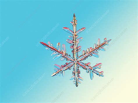 Snowflake Stock Image E1270523 Science Photo Library