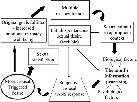 circular sexual response cycle of overlapping phases may be experienced download scientific