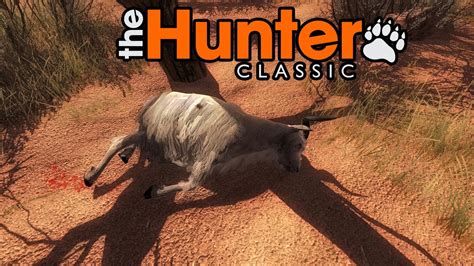 May 19, 2021 · the viridian phase hunter mount is now available for use in shadowlands if you purchase the burning crusade classic deluxe edition and it has a very awesome summoning animation! The Hunter Classic #12 - Rotfuchs Fail - THE HUNTER ...