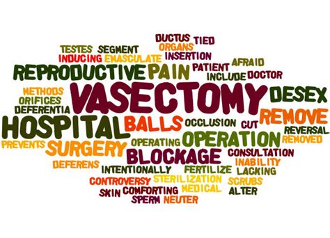 vascectomy illustrations royalty free vector graphics and clip art istock