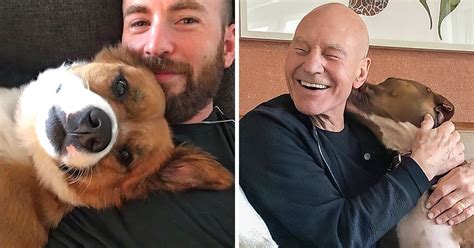 20 Celebrities Whose Love For Dogs Has No Limits Bright Side