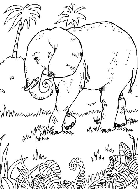 Desenho De Elefante Na Savana Africana Para Colorir Tudodesenhos
