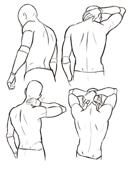Male Back Torso Drawing Reference Poses Figure Drawing Reference