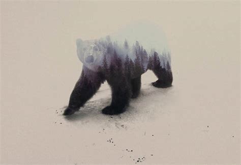 Stunning Double Exposure Animal Portraits Merging With