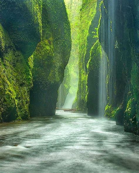 Oneonta Gorge Oregon Rainforest Canyon Adventure Photography