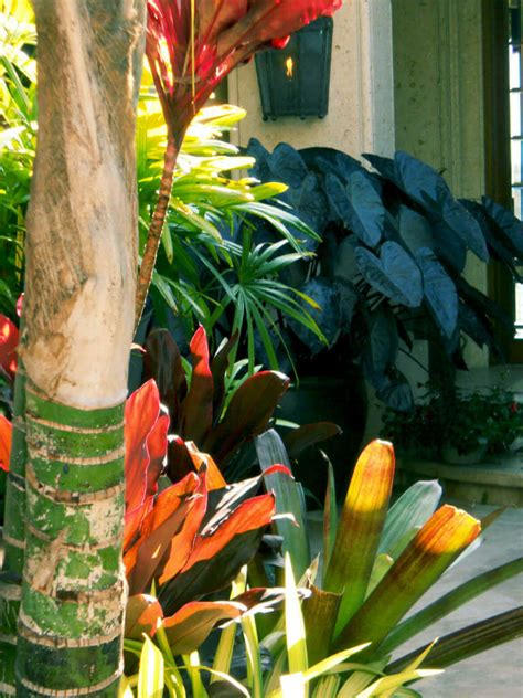 28 Refreshing Tropical Landscaping Ideas Page 4 Of 28