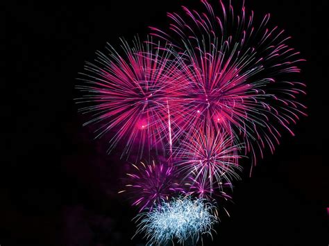 Pink And Blue Fireworks Display During Night Time · Free Stock Photo