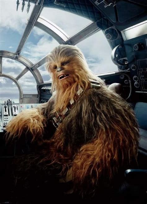 Chewbacca Is Really Hot And You Should Know This Star Wars Art Star