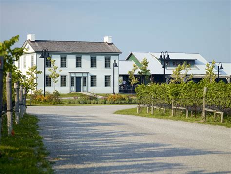 Ravine Vineyard Estate Winery Niagara Falls Tourism Business Events