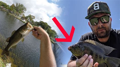 Tips For Freshwater Fishing Florida Canals Youtube