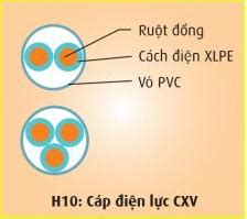 Loại dây cáp Cadivi sử dụng trong hệ thống điện trong nhà ở Cáp