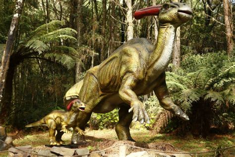 Parque De Dinossauros De 15 Milhões De Reais Será Inaugurado No