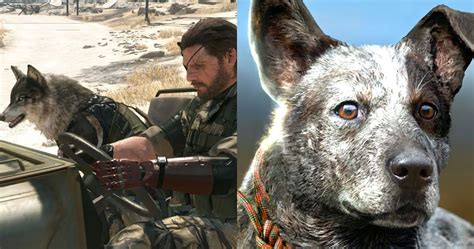 10 Of The Best Video Games You Can Pet The Dog In Thegamer