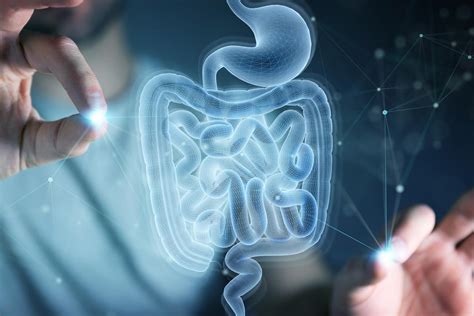 Covid 19 Severity Linked To Gut Bacteria In First Of Its Kind Study
