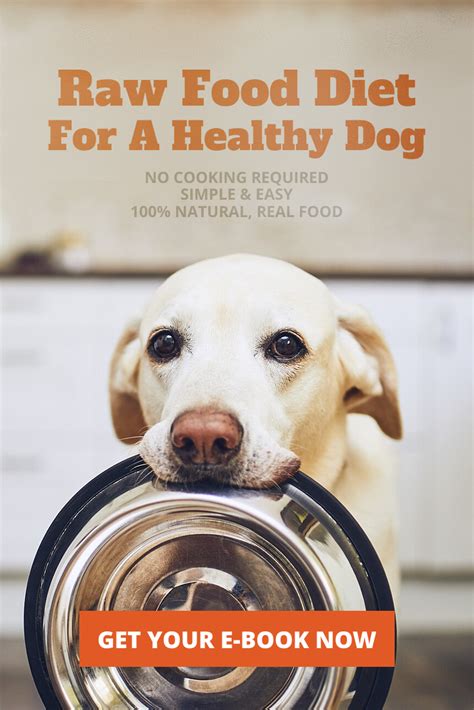 Feeding your dog or cat a raw pet food diet is one of the best things you can do for their health! Raw Food Diet For A Healthy Dog in 2020 (With images ...