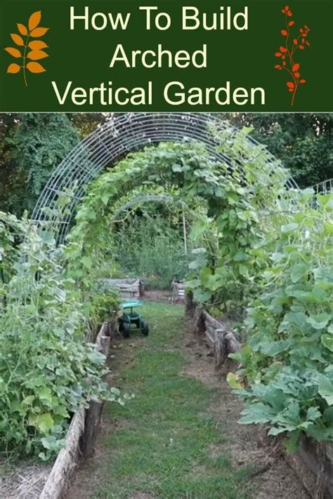 How To Build Arched Vertical Garden A Vertical Garden Can Be A Trellis