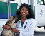 Photos of Calusa Veterinary Clinic