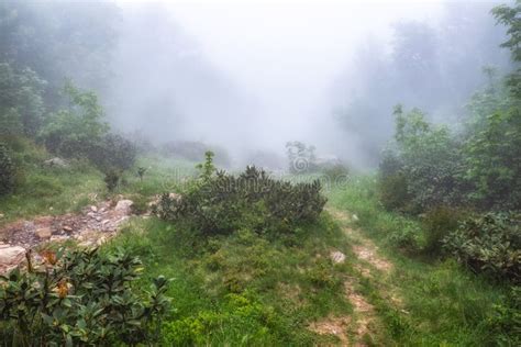 The Green Mountain Forest Is Hidden In Dense Fog Stock Photo Image Of