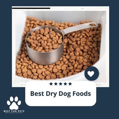 The 9 Best Dry Dog Foods In 2023