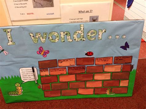Out Minibeast Wonder Wall In The Library Early Years Classroom