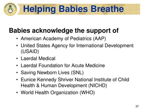 Ppt Helping Babies Breathe Powerpoint Presentation Id3308820
