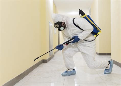 Accident Cleanup Fast Crime Scene Cleanup Seattle