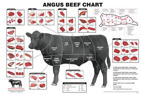 Printable Beef Cuts Chart Printable Blank World