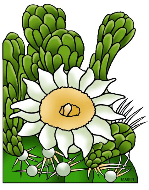 ✓ free for commercial use ✓ high quality images. Library of arizona state with cactus banner transparent ...