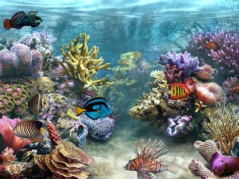 Free Download Sim Aquarium 26a Screensaver Megagames 800x600 For Your