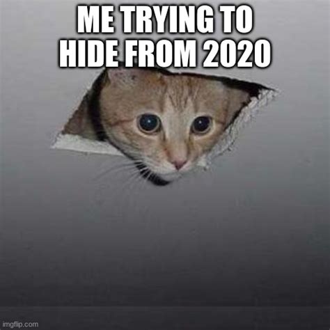 Ceiling cat is a photoshop meme based on a photograph of a cat peeking through a hole in the ceiling of a room. Ceiling Cat Meme - Imgflip