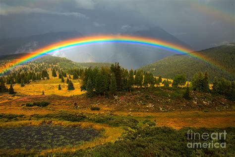 Rainbow In The Forest Photograph By Adam Jewell Pixels