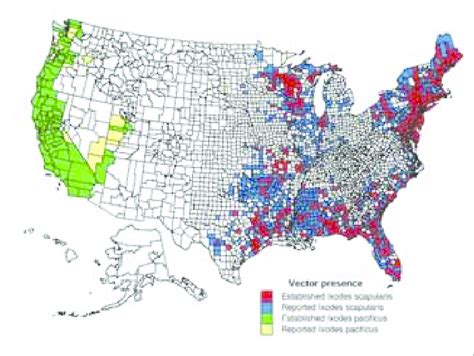 2 Distribution Of Lyme Disease In The United States B Tick