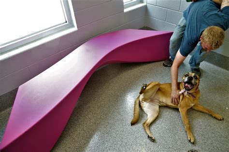 Lawrence Humane Society Moves Into New 75 Million Shelter News