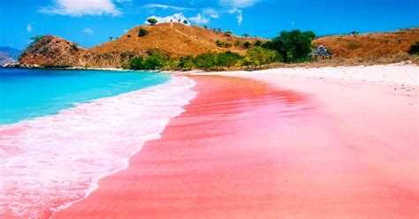 Hawaii Pink Sand Bahamas Sunset Beach Rainbow Beaches You Have To See