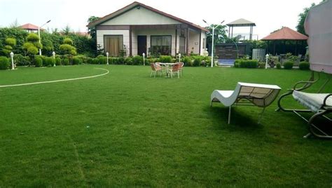 3 BHK Farm House 1008 Sq. Yards for Sale in Sector 135 Noida (REI1090147)