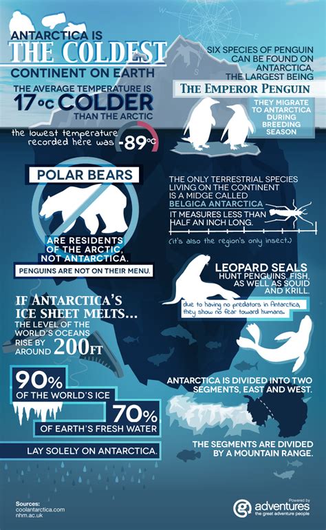 Antarctica Fun Facts Infographic G Adventures