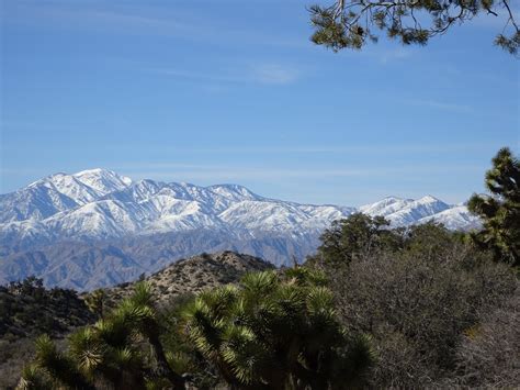 Joshua Tree National Park San Bernardino Mountains California Oc