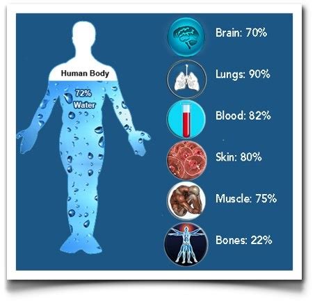 You know water is the major thing that living things are made of and as a nurse, you're going to need to make sure your transcellular fluids are ecf that are contained in specific anatomical areas of the body, within epithelial lined spaces. Human body 72% water | Health | Pinterest | Water and ...