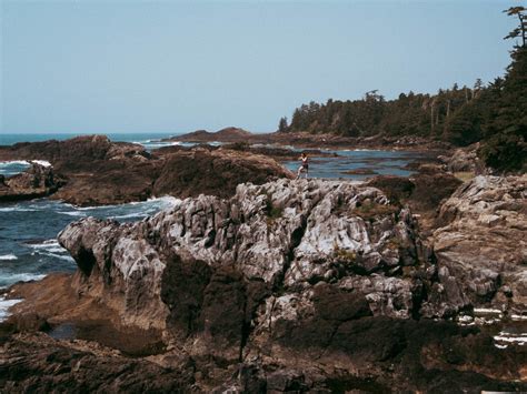 Wild Pacific Trail Ucluelet Vancouver Island The Foxes Photography