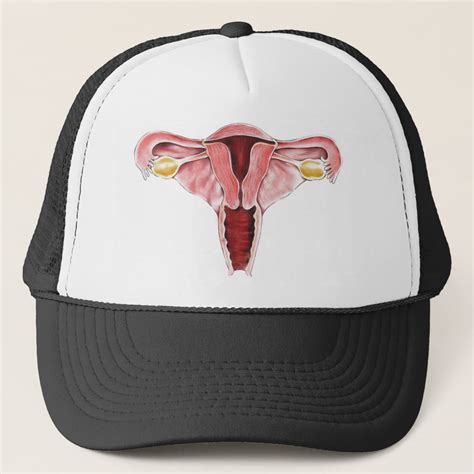 Female Reproductive System Hat Zazzle