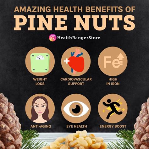 Amazing Health Benefits Of Pine Nuts Health Eye Health Health And