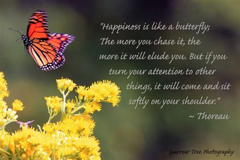 Happiness Is Like A Butterfly